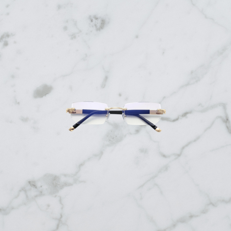 Optieview Pro™ | The glasses that change everything