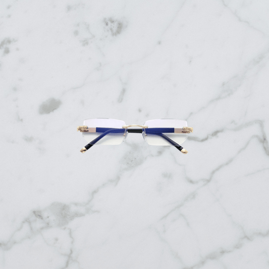 Optieview Pro™ | The glasses that change everything
