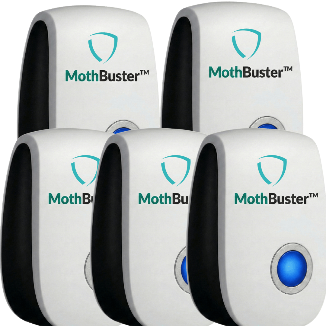 MothBuster™ | Create a More Comfortable, Pest-Free Environment