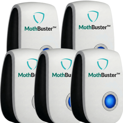 MothBuster™ | Create a More Comfortable, Pest-Free Environment