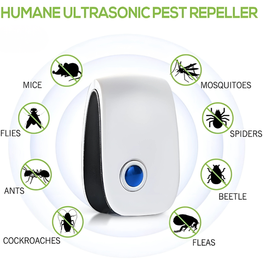 Anti-Insect™ | Support a Cleaner, Pest-Free Living Space