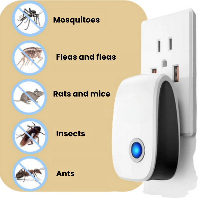 Anti-Insect™ | Support a Cleaner, Pest-Free Living Space
