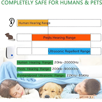 Anti-Insect™ | Support a Cleaner, Pest-Free Living Space