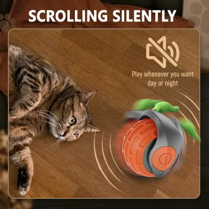 FurPlay™ |  Bring Endless Joy to Your Cat — Even When You’re Not Home!