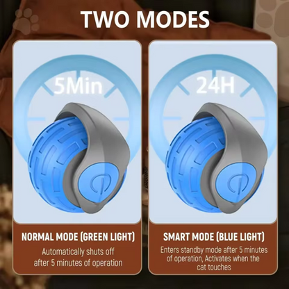 FurPlay™ |  Bring Endless Joy to Your Cat — Even When You’re Not Home!