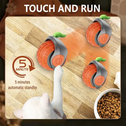 FurPlay™ |  Bring Endless Joy to Your Cat — Even When You’re Not Home!