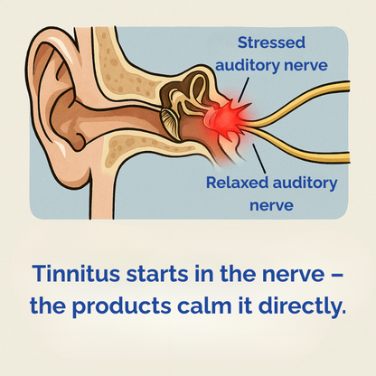 NoiseReduction™ | Support Clearer, More Comfortable Listening