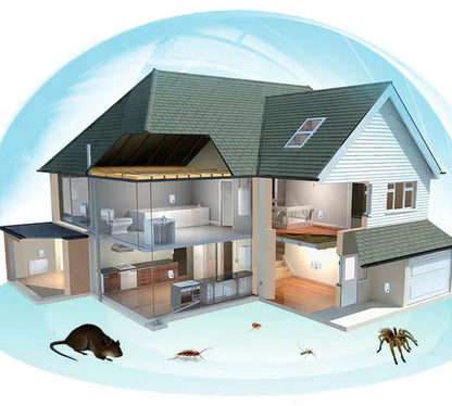 Anti-Insect™ | Support a Cleaner, Pest-Free Living Space